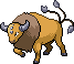 Tauros