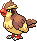 Pidgey