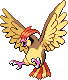 Pidgeotto