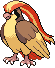 Pidgeot