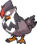 Staraptor