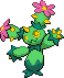 Maractus