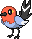 Fletchling