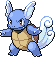 Wartortle